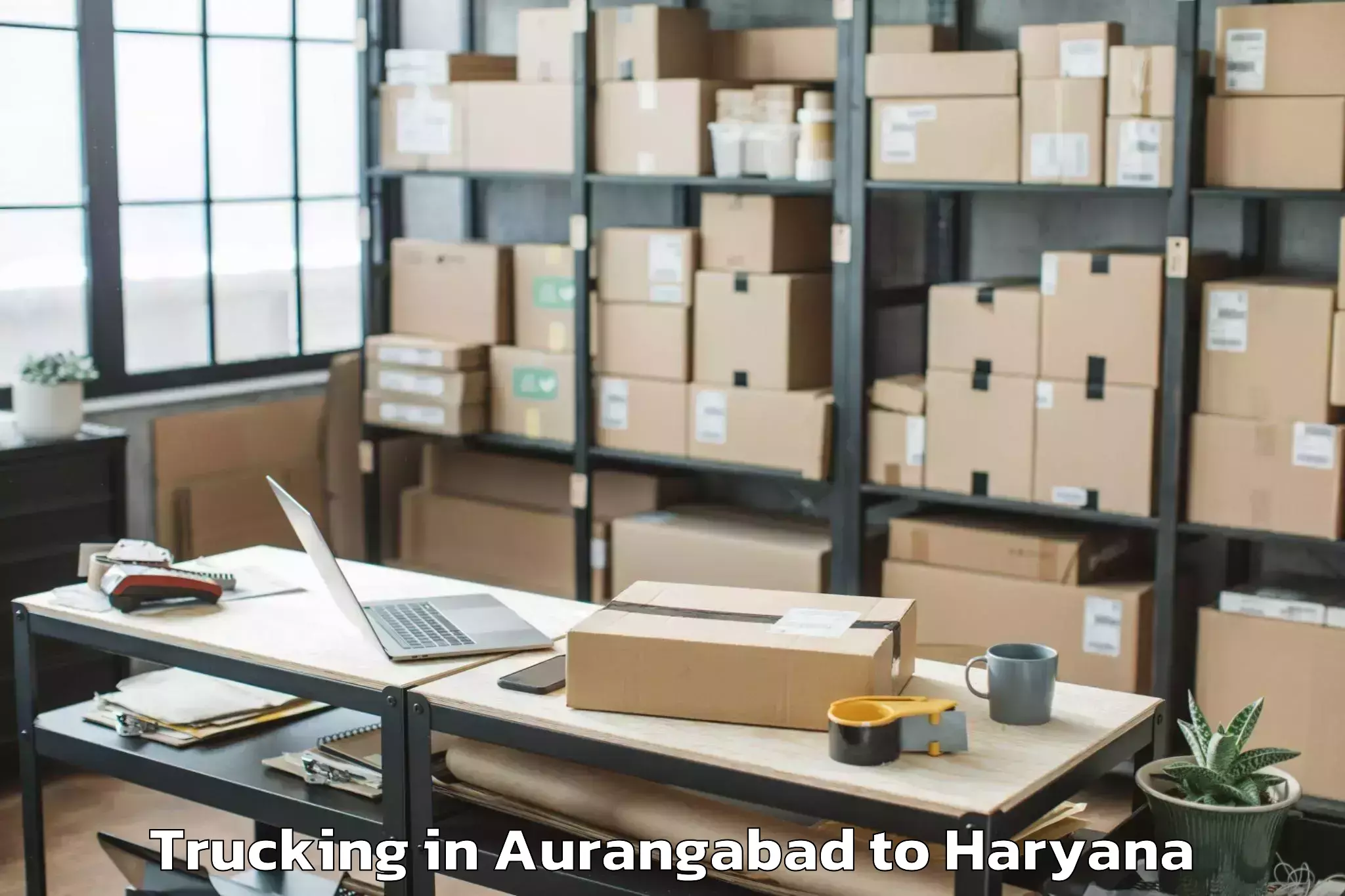 Book Aurangabad to Manesar Trucking Online